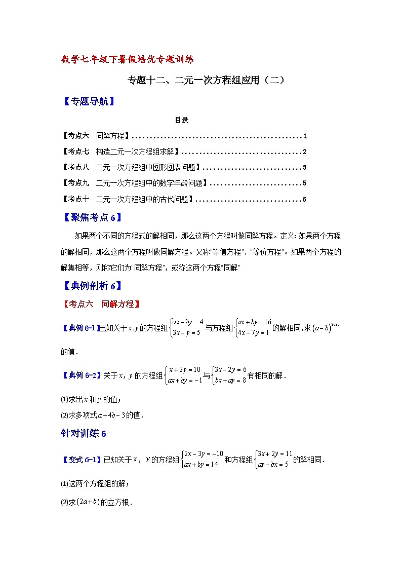 数学七年级下暑假培优专题训练（十二）第1页