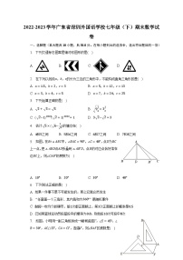 2022-2023学年广东省深圳外国语学校七年级（下）期末数学试卷（含解析）