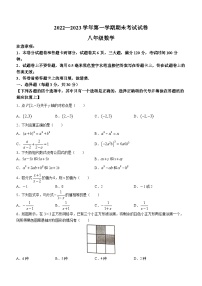 河南省濮阳市2022-2023学年八年级上学期期末数学试题（含答案）