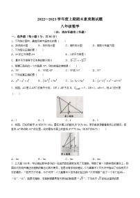 河南省驻马店市泌阳县2022-2023学年八年级上学期期末数学试题（含答案）