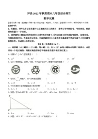 四川省泸州市泸县2022-2023学年八年级上学期期末数学试题（含答案）