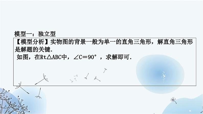 中考数学复习方法技巧突破(六)解直角三角形之四大模型教学课件02