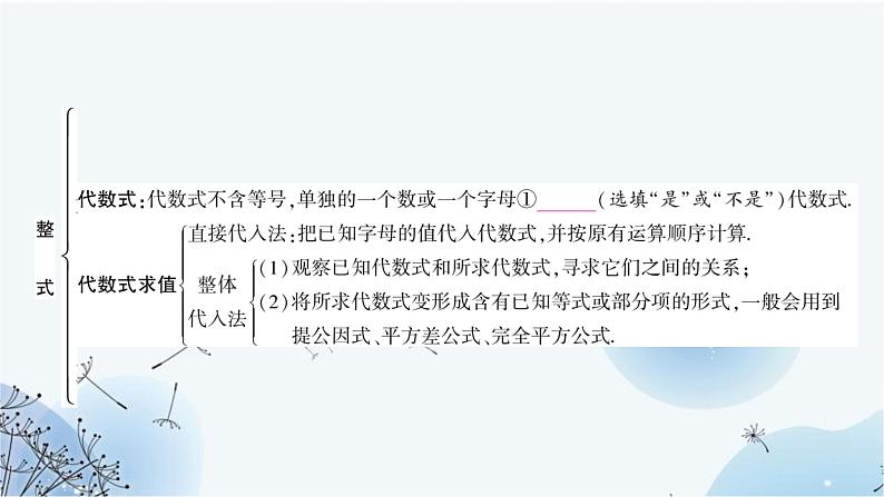 中考数学复习第一章数与式第三节代数式、整式与因式分解教学课件03