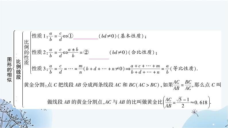 中考数学复习第四章三角形第五节图形的相似教学课件第3页