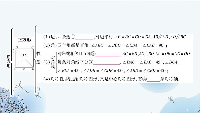 中考数学复习第五章四边形第四节正方形教学课件03