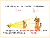 湘教版數(shù)學九上 3.6《 位似》第1課時 位似圖形的概念及畫法 課件