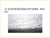 湘教版數(shù)學(xué)九上 5 綜合與實(shí)踐 《如何估計(jì)魚的數(shù)量》課件