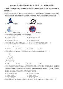 四川省成都市锦江区2022-2023学年八年级下学期期末数学试卷（含答案）