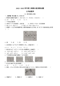 河南省驻马店市泌阳县2022-2023学年七年级上学期期末数学试题（含答案）