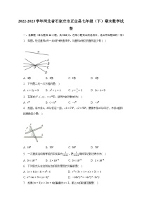 2022-2023学年河北省石家庄市正定县七年级（下）期末数学试卷（含解析）