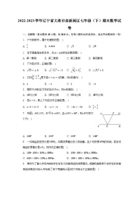 2022-2023学年辽宁省大连市高新园区七年级（下）期末数学试卷（含解析）