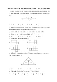 2022-2023学年山东省临沂市罗庄区九年级（下）期中数学试卷（含解析）