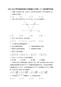 2022-2023学年陕西省西安市临潼区七年级（下）期末数学试卷（含解析）