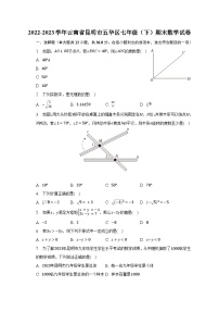 2022-2023学年云南省昆明市五华区七年级（下）期末数学试卷（含解析）