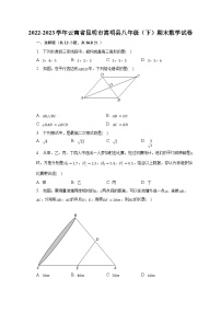 2022-2023学年云南省昆明市嵩明县八年级（下）期末数学试卷（含解析）