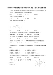 湖南省长沙市长沙县2022-2023学年八年级下学期期末数学试卷（含答案）