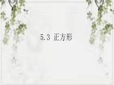 2022-2023學(xué)年數(shù)學(xué)浙教版八年級(jí)下冊(cè) 5.3 正方形 課件