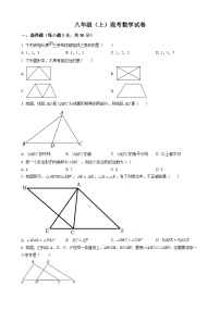 八年级上学期第二次月考数学考试卷