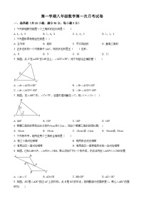 八年级上学期第一次月考数学考试卷