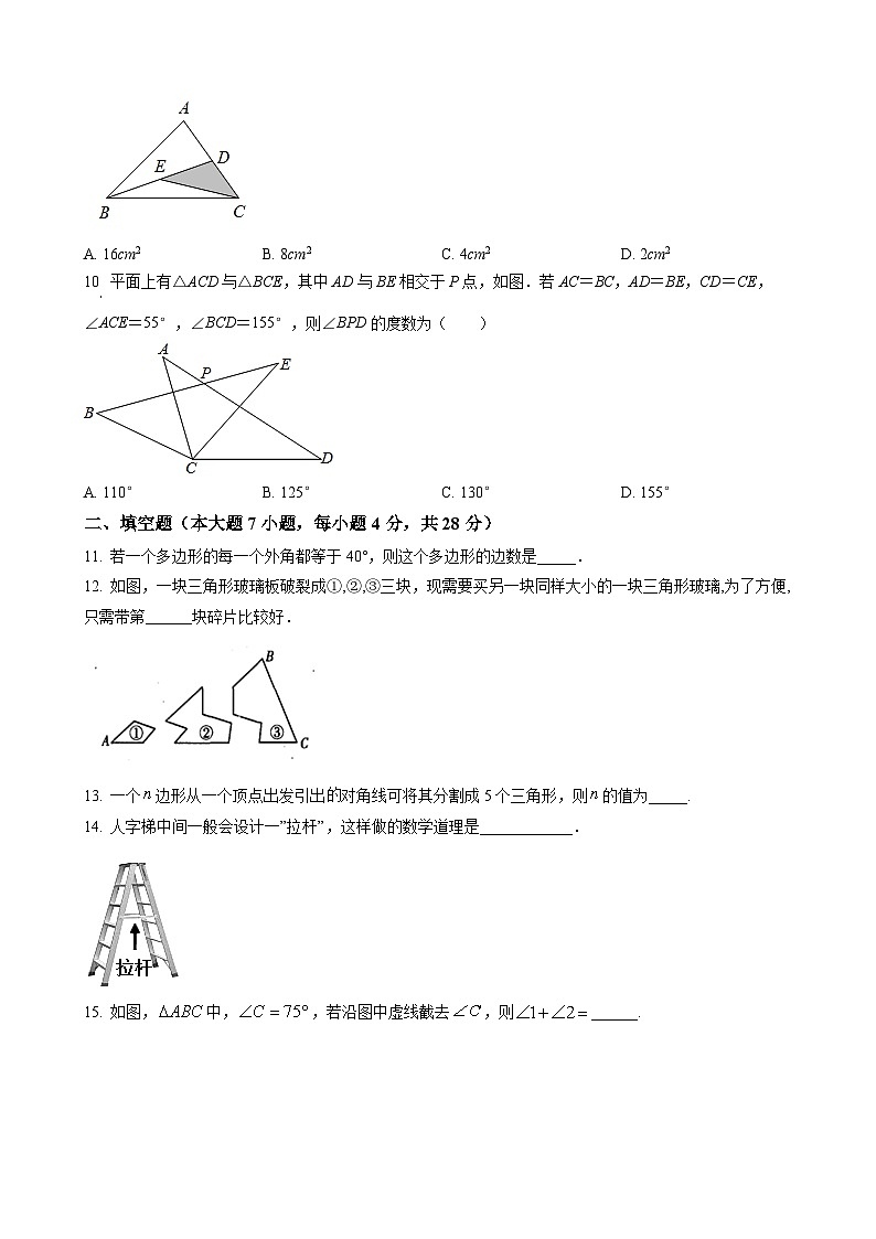 八年级上学期第一次月考数学考试卷第2页