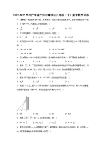 2022-2023学年广东省广州市南沙区八年级（下）期末数学试卷（含解析）