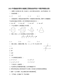 2023年福建省莆田市城厢区顶墩实验学校中考数学模拟试卷（含解析）