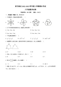 湖北省黄石市黄石港区2022-2023学年八年级上学期期末数学试题（含答案）