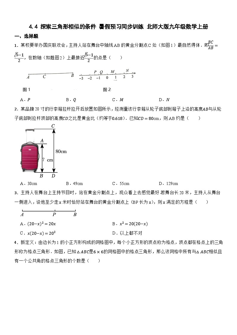4.4探索三角形相似的条件 暑假预习 同步训练 2023--2024学年北师大版九年级数学上册第1页