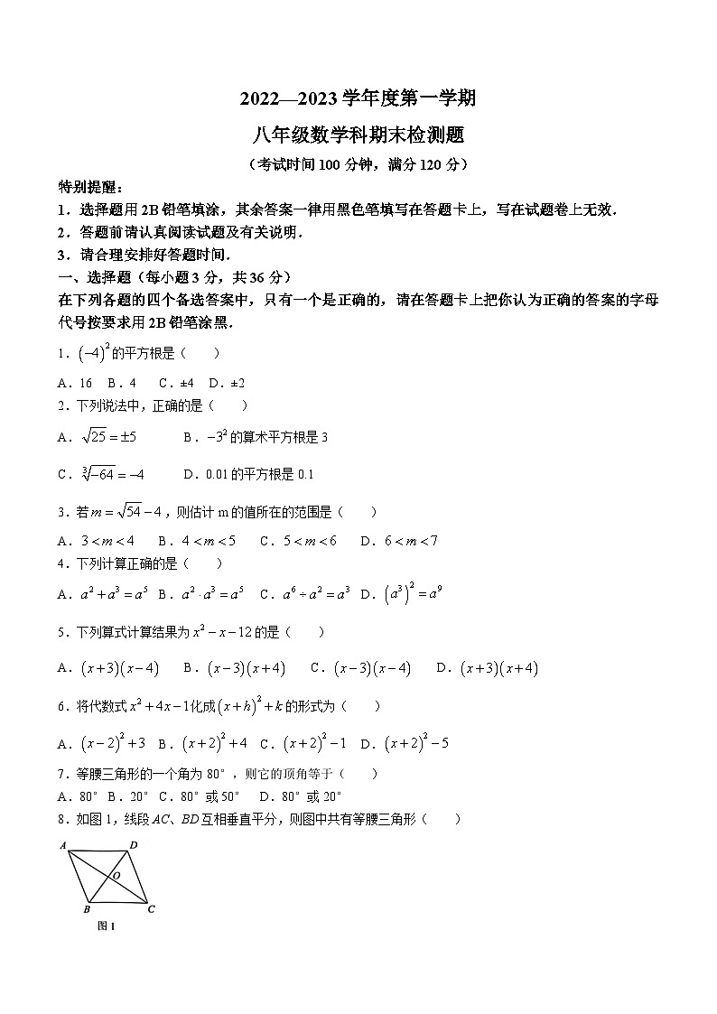 海南省海口市2022-2023学年八年级上学期期末考试数学试题（含答案）第1页