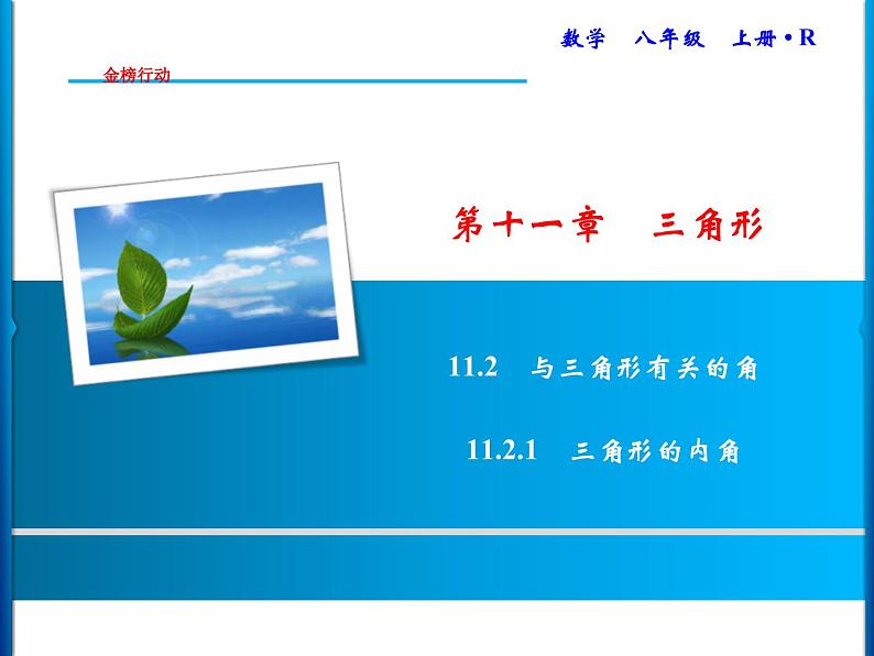 人教版数学八年级上册同步课时精品课件第11章　11.2.1　三角形的内角 (含答案详解)01