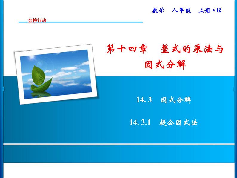 人教版数学八年级上册同步课时精品课件第14章　14.3.1　提公因式法 (含答案详解)01