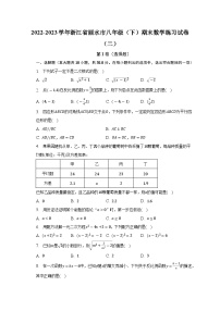 浙江省丽水市2022-2023学年八年级下学期期末数学练习试卷（二）（含答案）