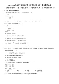 河北省石家庄市长安区2022-2023学年八年级下学期期末数学试卷（含答案）