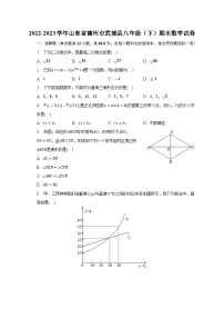 山东省德州市武城县2022-2023学年八年级下学期期末数学试卷（含答案）