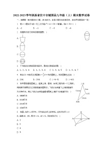 2022-2023学年陕西省汉中市城固县九年级（上）期末数学试卷（含解析）