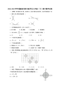 2022-2023学年福建省龙岩市新罗区七年级（下）期中数学试卷（含解析）