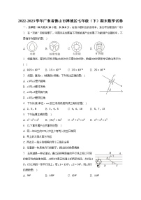 2022-2023学年广东省佛山市禅城区七年级（下）期末数学试卷（含解析）