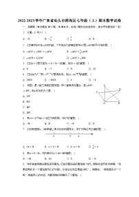 2022-2023学年广东省汕头市澄海区七年级（上）期末数学试卷（含解析）