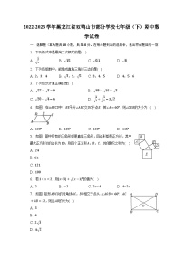 2022-2023学年黑龙江省双鸭山市部分学校七年级（下）期中数学试卷（含解析）