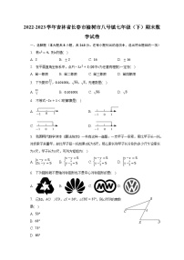 2022-2023学年吉林省长春市榆树市八号镇七年级（下）期末数学试卷（含解析）