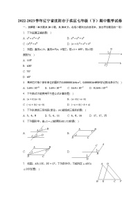 2022-2023学年辽宁省沈阳市于洪区七年级（下）期中数学试卷（含解析）