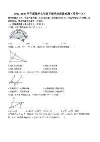 吉林省松原市前郭尔罗斯蒙古族自治县第三中学2022-2023学年七年级下学期4月月考数学试题（含答案）