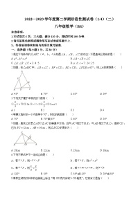 河南省平顶山市宝丰县红星学校等5校2022-2023学年八年级下学期3月月考数学试题（含答案）