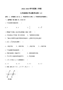 广东省汕头市潮南区陈店镇2022-2023学年七年级下学期6月期末数学试题