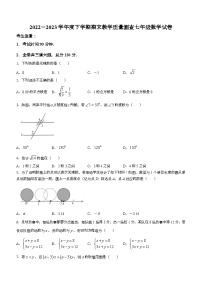 黑龙江省齐齐哈尔市讷河市2022-2023学年七年级下学期期末数学试题