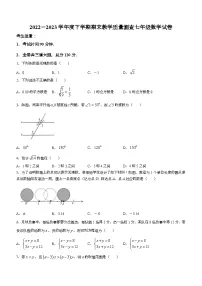 黑龙江省齐齐哈尔市讷河市2022-2023学年七年级下学期期末数学试题