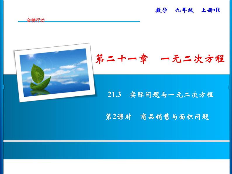 人教版数学九年级上册同步课时练习精品课件第21章 21.3　第2课时　商品销售与面积问题（含答案）01