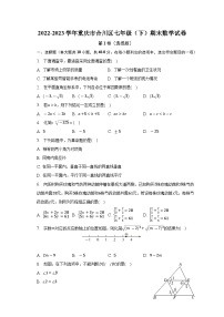 重庆市合川区2022-2023学年七年级下学期期末数学试卷（含答案）