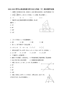 山东省东营市河口区2022-2023学年七年级下学期期末数学试卷（含答案）