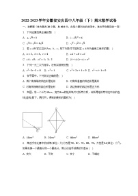 2022-2023学年安徽省安庆四中八年级（下）期末数学试卷（含解析）